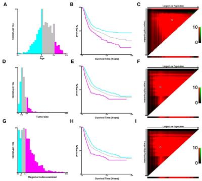 Prognostic nomogram for estimating survival in patients with resected muscle-invasive bladder cancer receiving chemotherapy